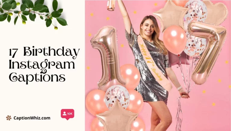 200+ Fun and Fabulous 17 Birthday Instagram Captions to Shine Bright