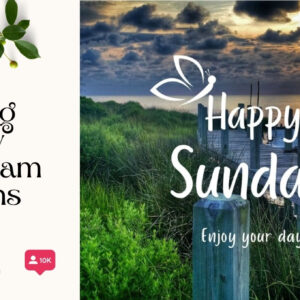 200+ Amazing Sunday Instagram Captions to Brighten Your Weekends zz