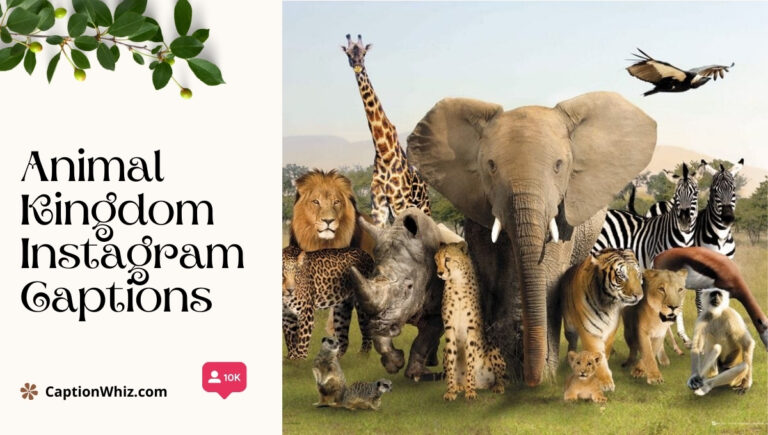 Animal Kingdom Instagram Captions1