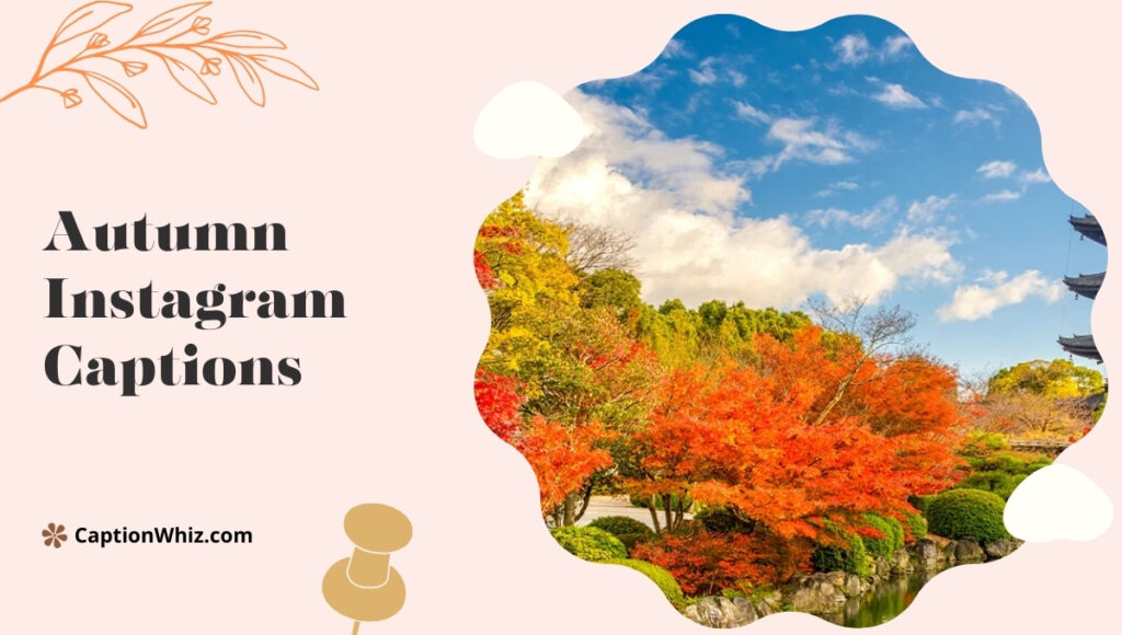 139+ Autumn Instagram Captions That Capture the Magic of Fall Moments