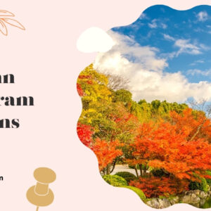 200+ Autumn Instagram Captions That Capture the Magic of Fall Moments