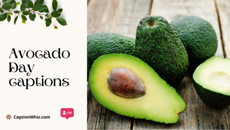 Avocado Day captions