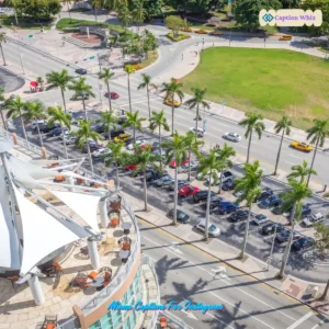 137+ Vibrant Miami Captions For Instagram and Quotes to Brighten Your Feed