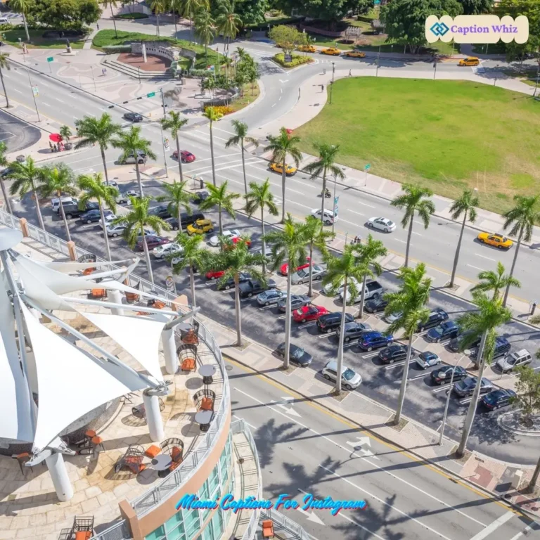 137+ Vibrant Miami Captions For Instagram and Quotes to Brighten Your Feed