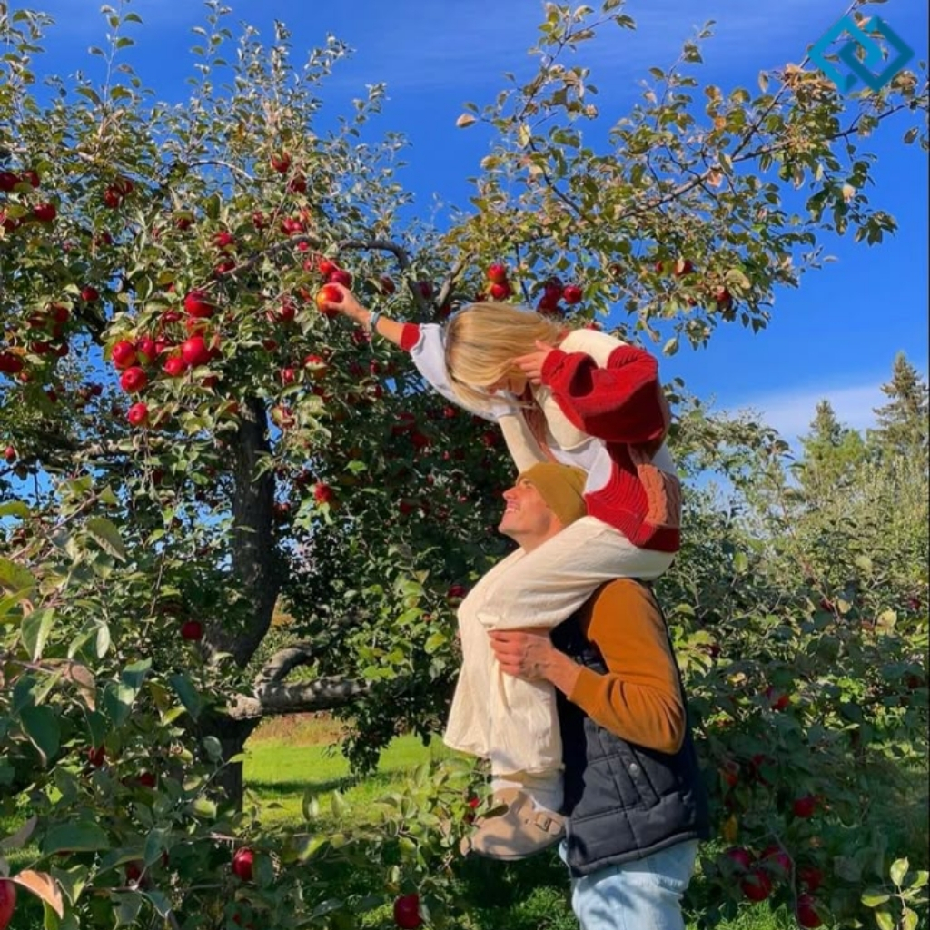 Apple Picking Captions For Instagram