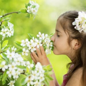 137+ Inspiring Flowers Captions For Instagram and Quotes to Brighten Your Feed