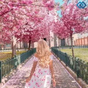 200+ Spring Captions For Instagram to Celebrate the Season of Bloom and Renewal zz