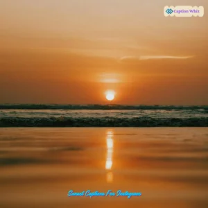 127+ Stunning Sunset Captions For Instagram That Will Inspire Your Followers Quotes