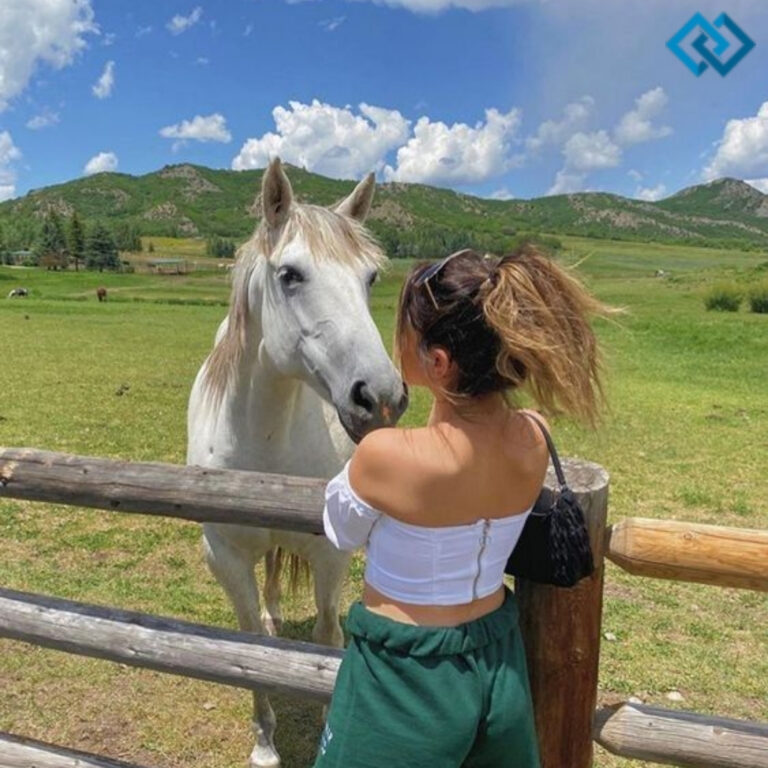 Horse Captions Instagram 1 Horse Captions Instagram 1