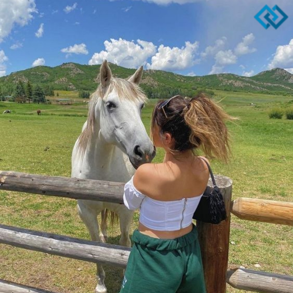 Horse Captions Instagram 1