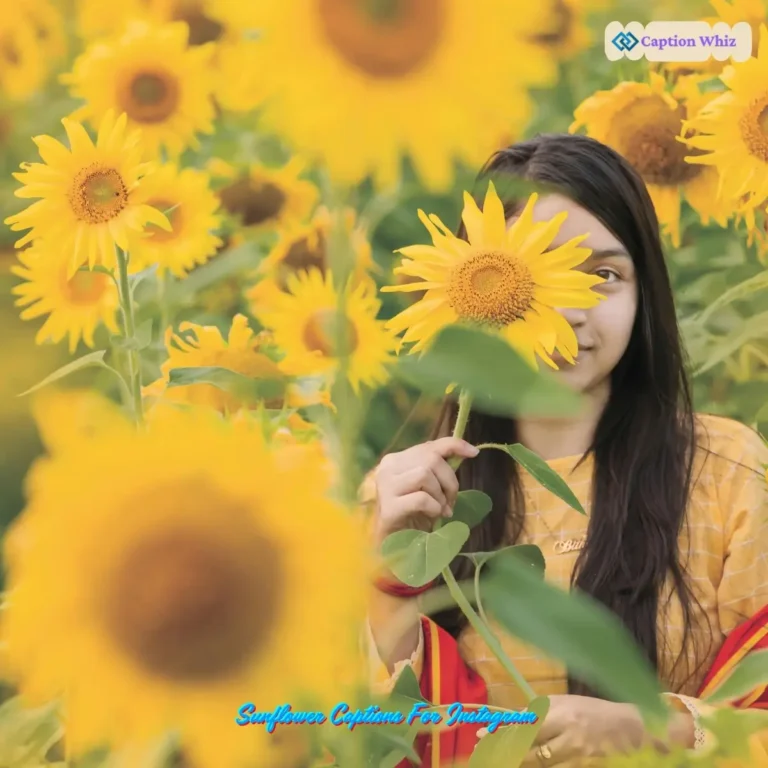 Sunflower Captions For Instagram