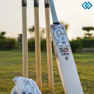 147+ Cricket Captions For Instagram to Showcase Your Passion for the Game