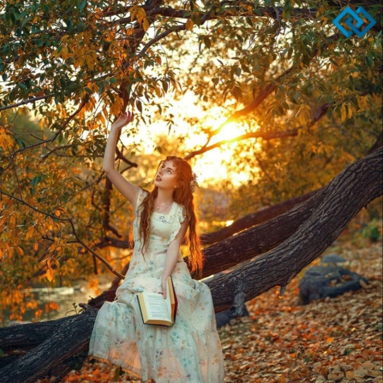 125+ Inspiring Forest Captions For Instagram and Quotes to Share Your Love for Nature