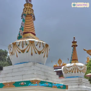 137+ Top Kannada Captions For Instagram to Spark Creativity and Connection