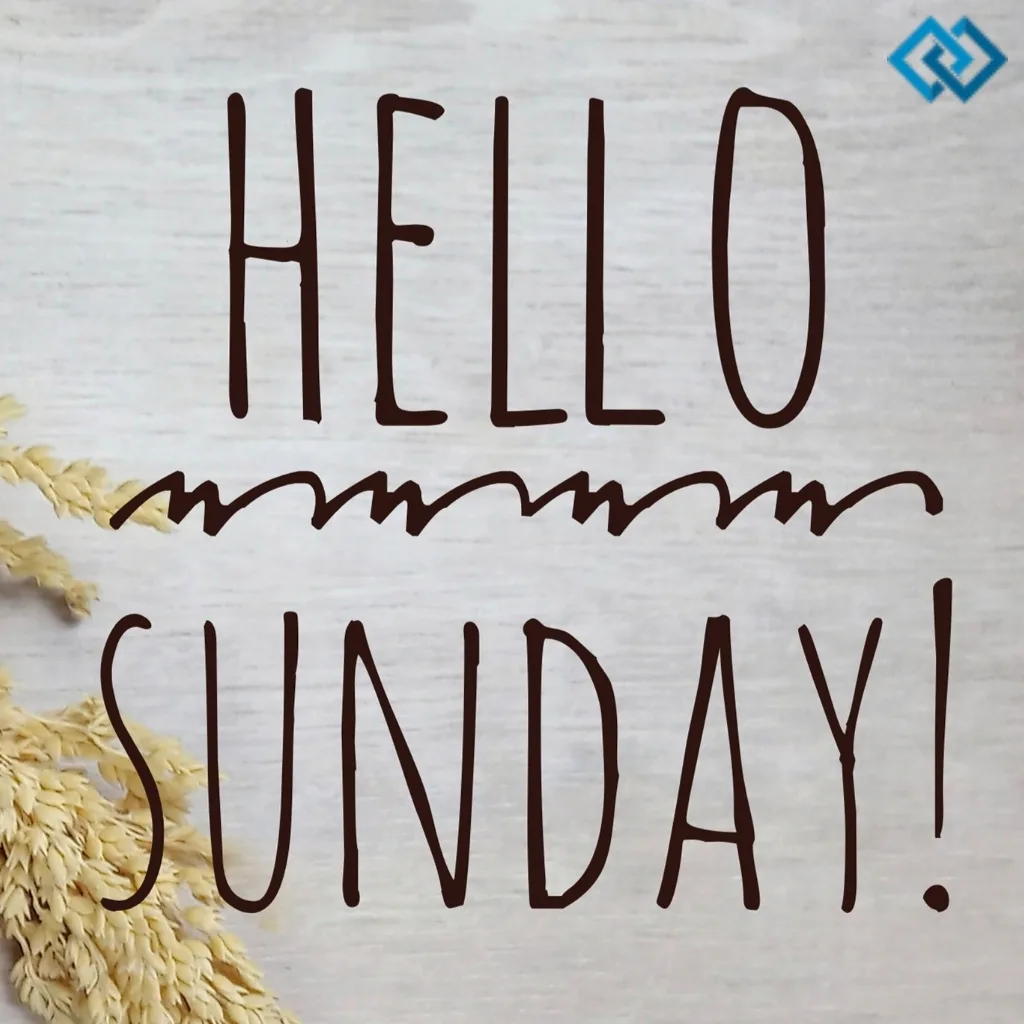 200+ Sunday Captions For Instagram to Brighten Your Weekend Vibes