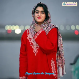 145+ Best Shayari Captions For Instagram That Capture Your Heart and Soul