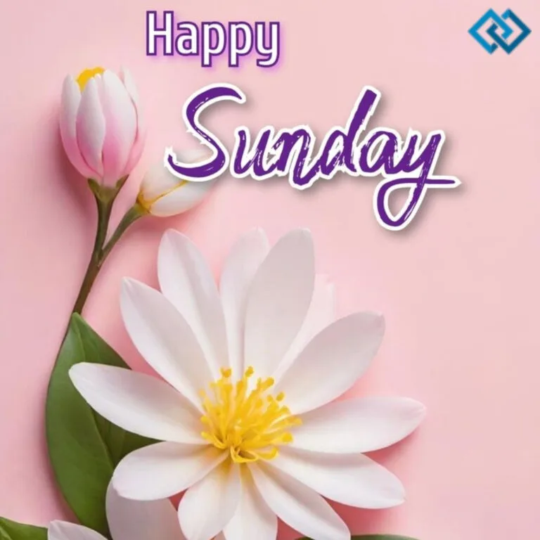 200+ Sunday Captions For Instagram to Brighten Your Weekend Vibes