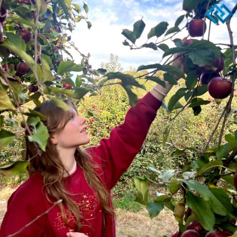 Apple Picking Instagram Captions