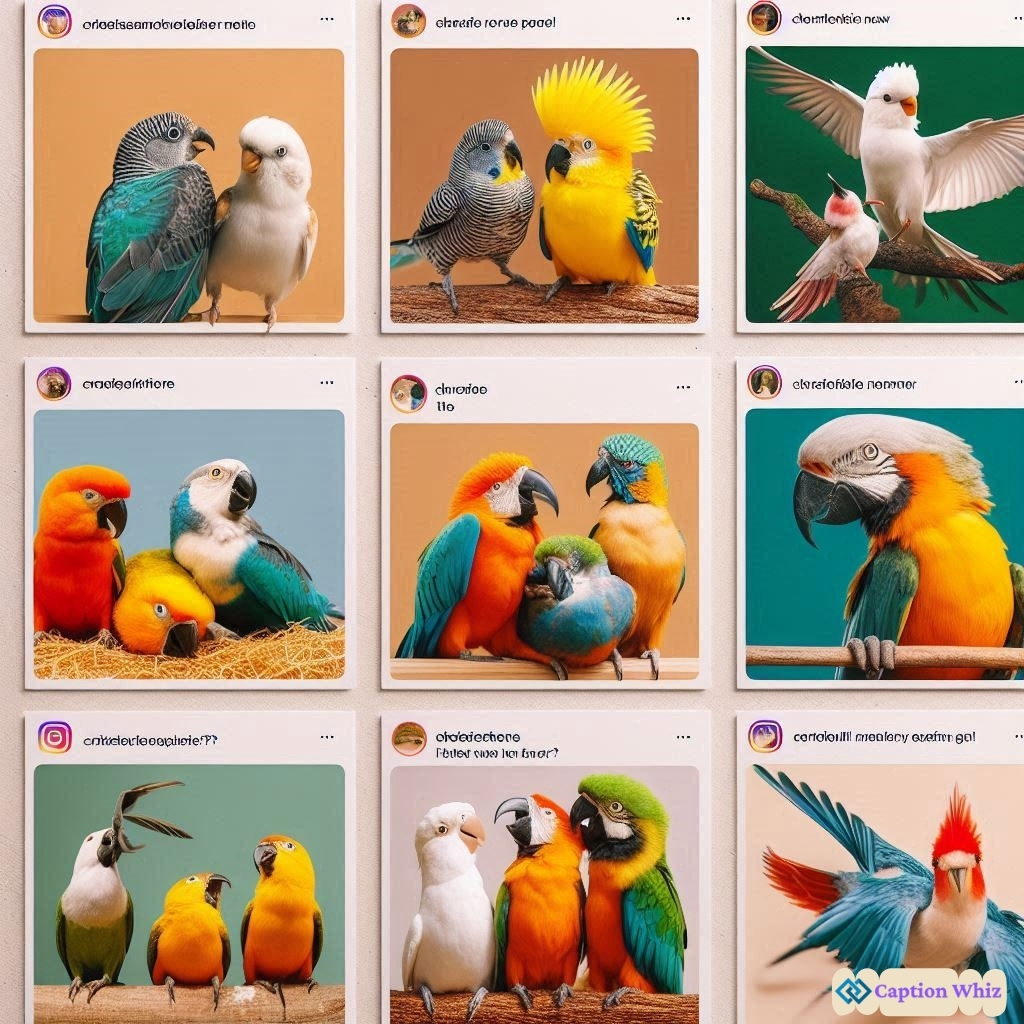 145+ Inspiring Bird Captions For Instagram and Quotes to Soar Your Feed in 2026