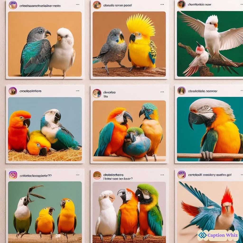 145+ Inspiring Bird Captions For Instagram and Quotes to Soar Your Feed