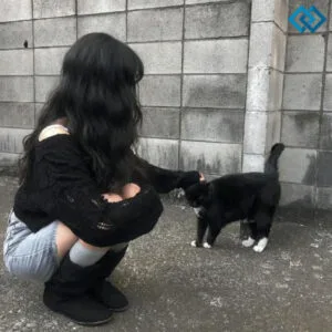 200+ Black Cat Instagram Captions To Show Off Your Mysterious Feline