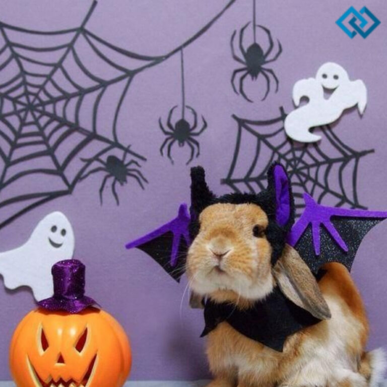 Bunny Captions For Instagram Halloween