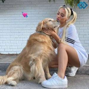 200+ Funny Instagram Captions Dog Captions for Pet Lovers