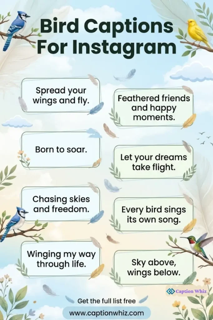 145+ Inspiring Bird Captions For Instagram and Quotes to Soar Your Feed