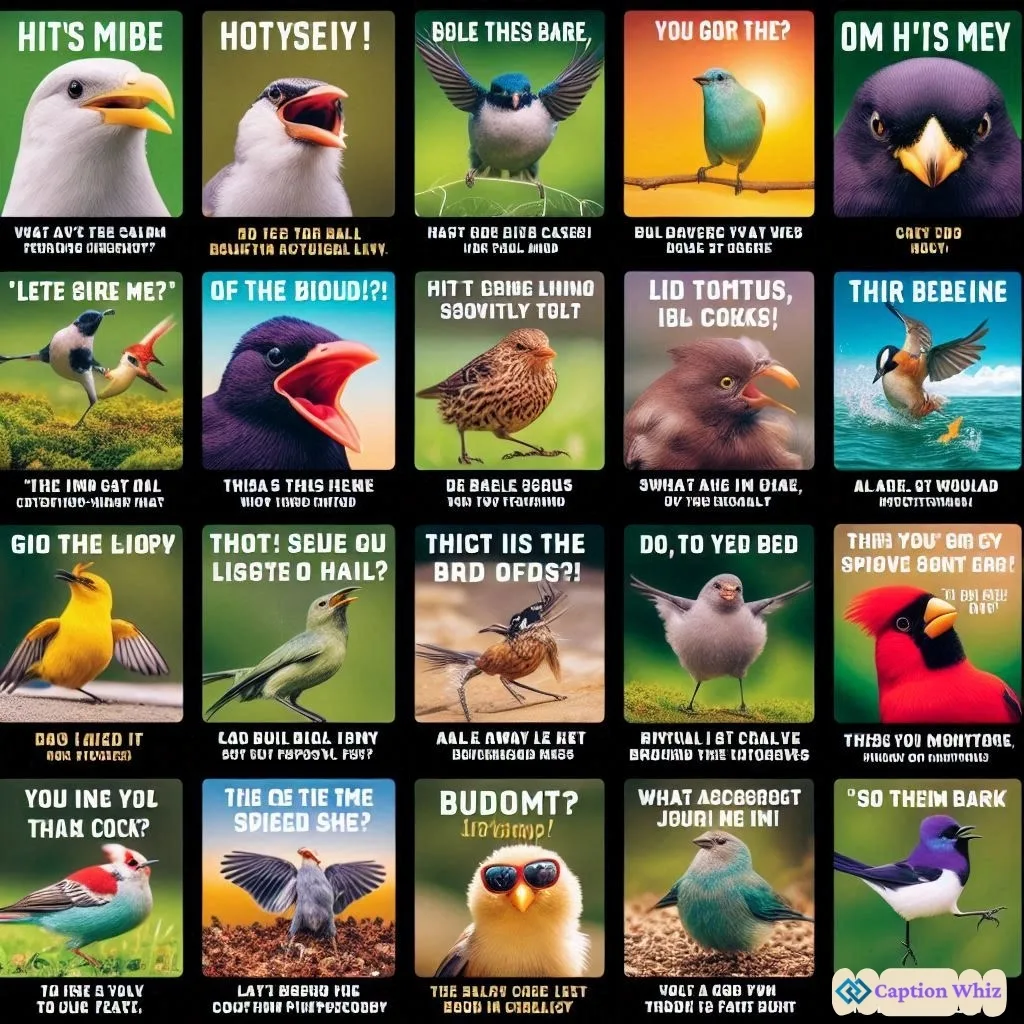 145+ Inspiring Bird Captions For Instagram and Quotes to Soar Your Feed
