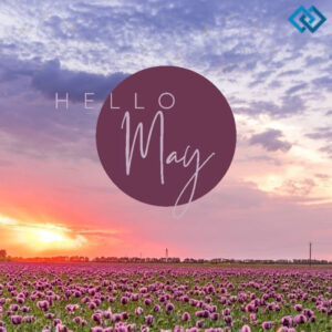 200+ Instagram Captions For May to Brighten Your Feed