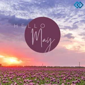 200+ Instagram Captions For May to Brighten Your Feed