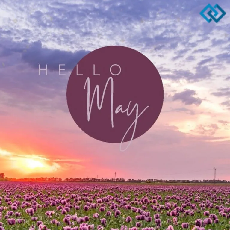 143+ Instagram Captions For May to Brighten Your Feed