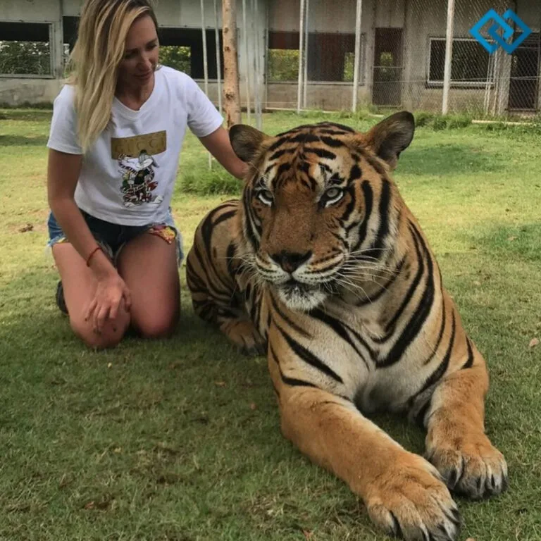 200+ International Tiger Day Captions for Your Posts