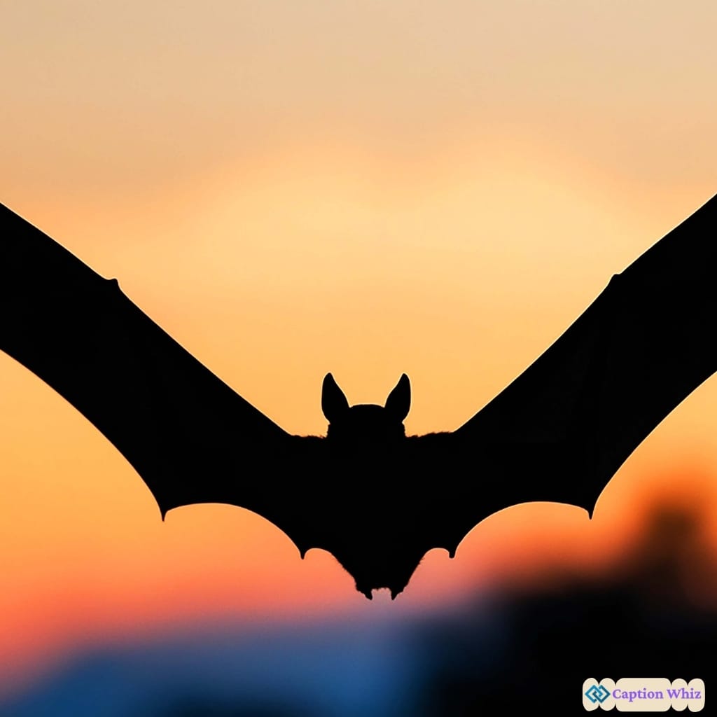 Short Bat Captions For Instagram Perfect for Quick Posts