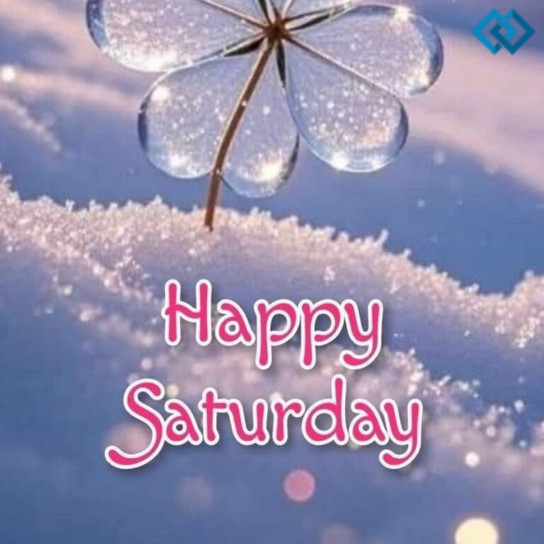 Short Saturday Captions For Instagram Short Saturday Captions For Instagram