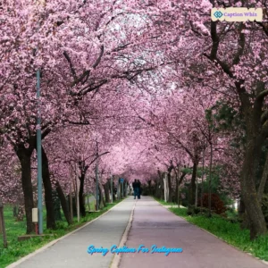 135+ Vibrant Spring Captions For Instagram and Inspiring Quotes to Brighten Your Feed