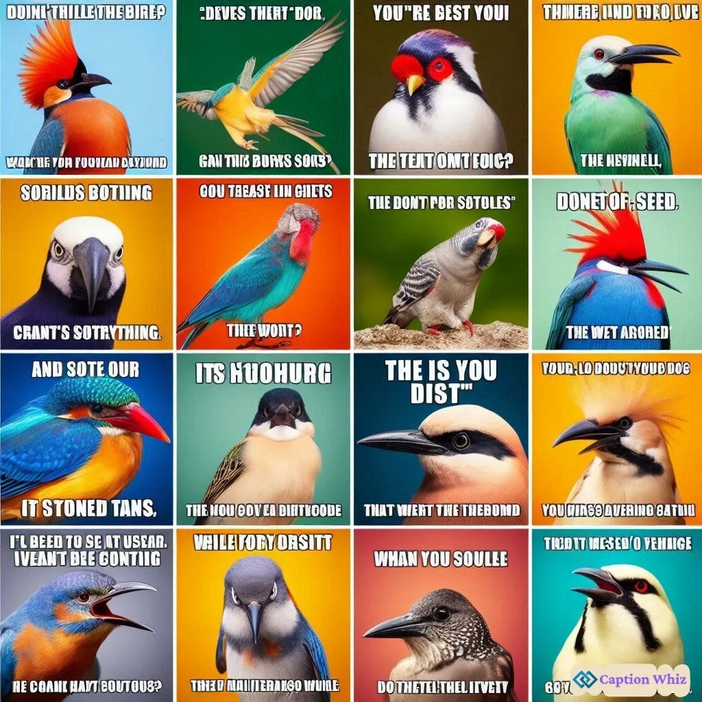 145+ Inspiring Bird Captions For Instagram and Quotes to Soar Your Feed