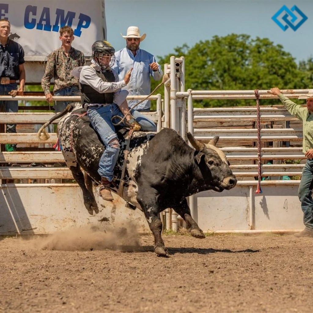 Bull Riding Captions For Instagram