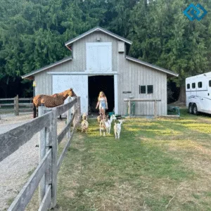 127+ Charming Farm Captions For Instagram and Quotes to Brighten Your Feed