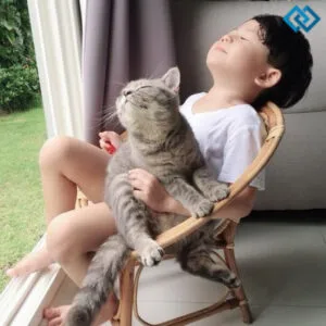 200+ Funny Cute Captions For Instagram to Make You Smile