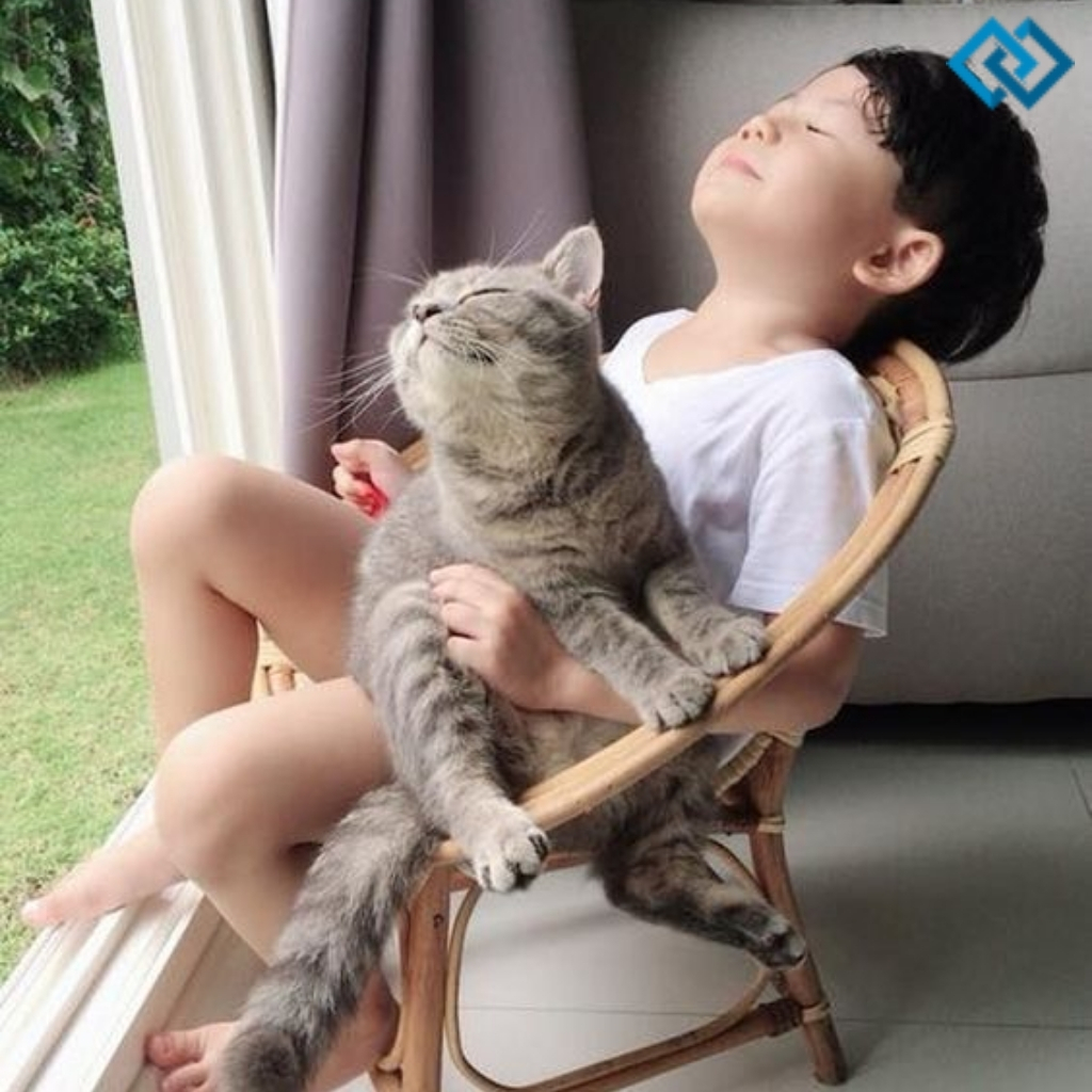 Funny Cute Captions For Instagram