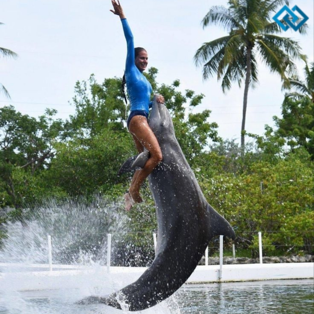 Funny Shark Captions For Instagram