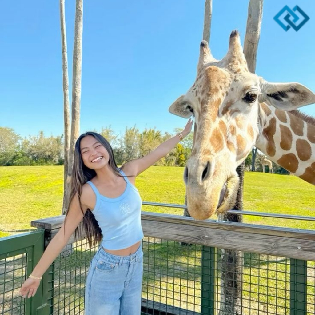 Giraffe Instagram Captions