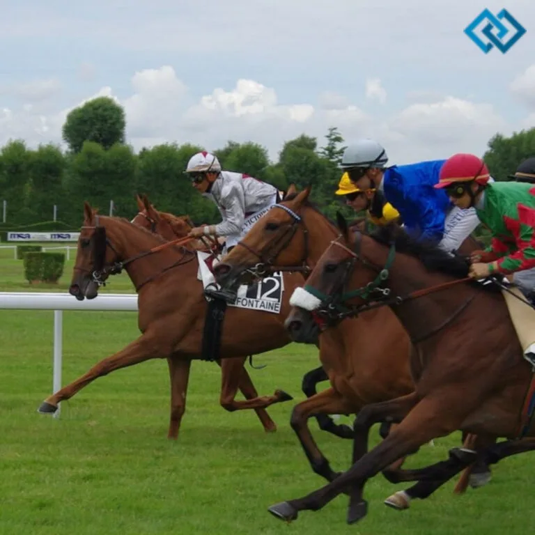 200+ Horse Races Instagram Captions for Every Racing Fan