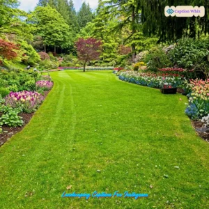 149+ Inspiring Landscaping Captions For Instagram and Quotes to Transform Your Feed