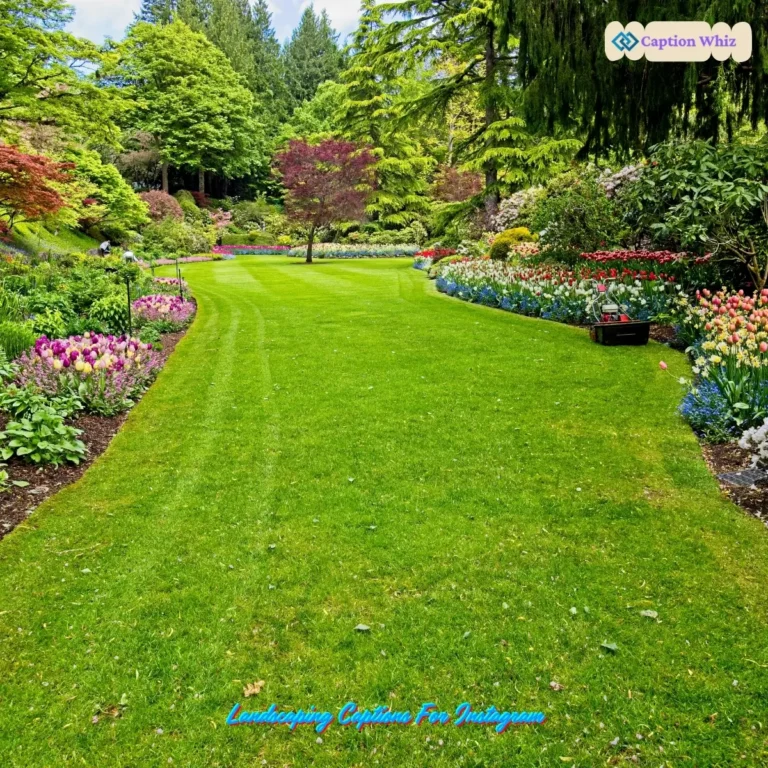 Landscaping Captions For Instagram