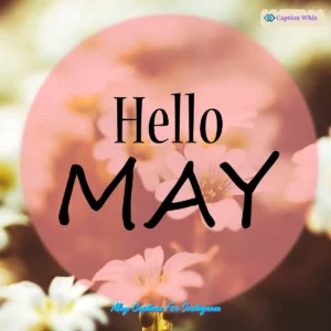 147+ Inspiring May Captions For Instagram and Quotes to Brighten Your Feed
