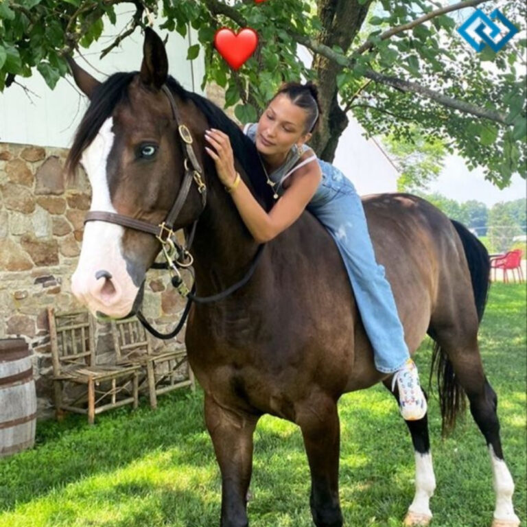 Short Horse Instagram Captions