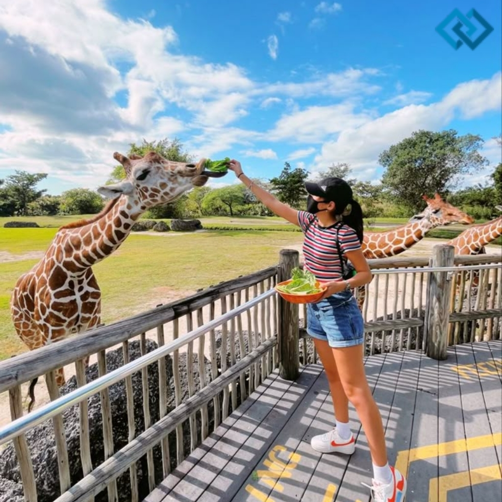 Zoo Instagram Captions