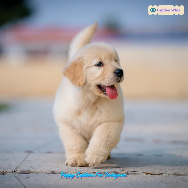 129+ Adorable Puppy Captions For Instagram and Quotes That Will Melt Hearts
